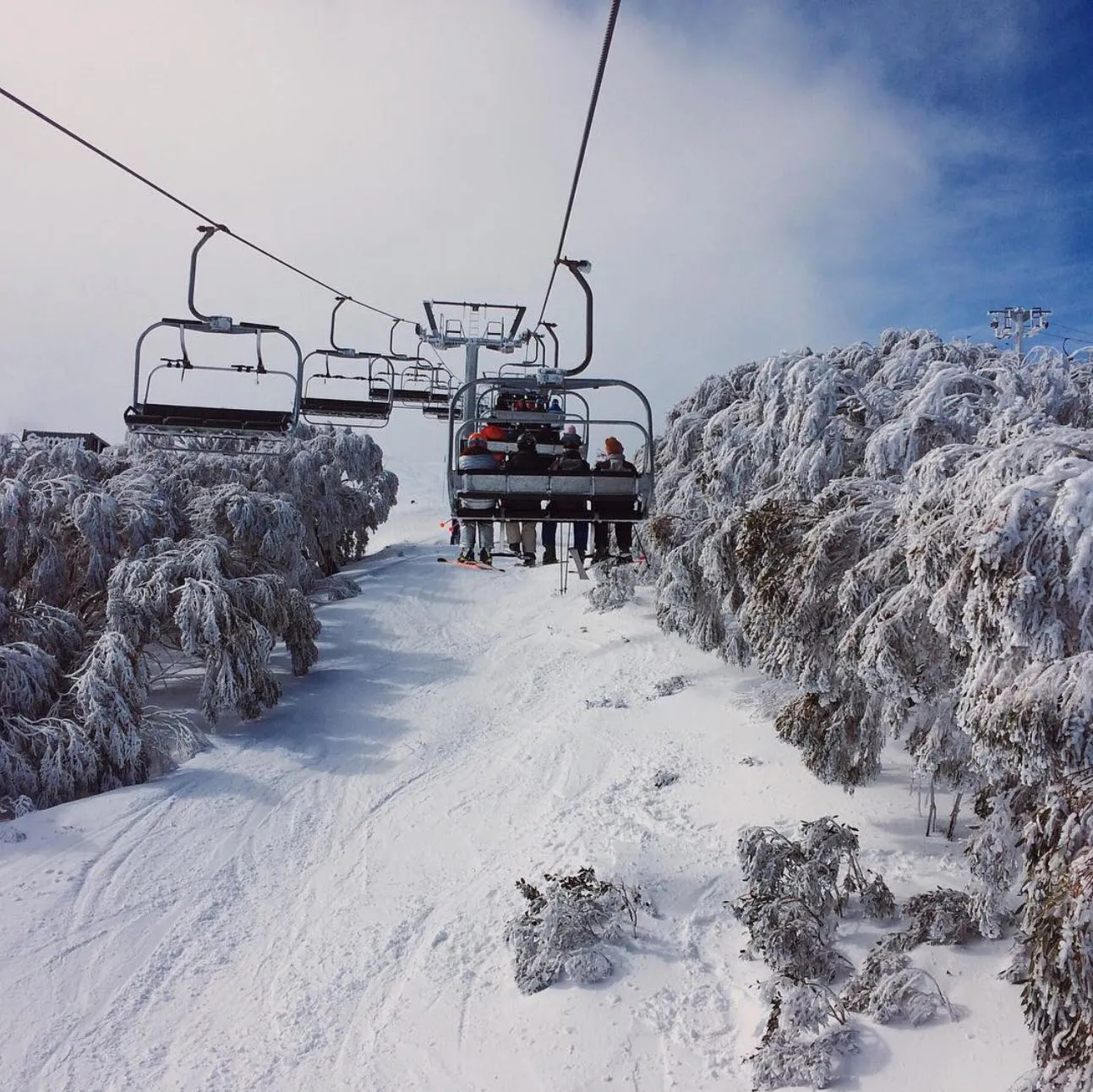Mt Buller